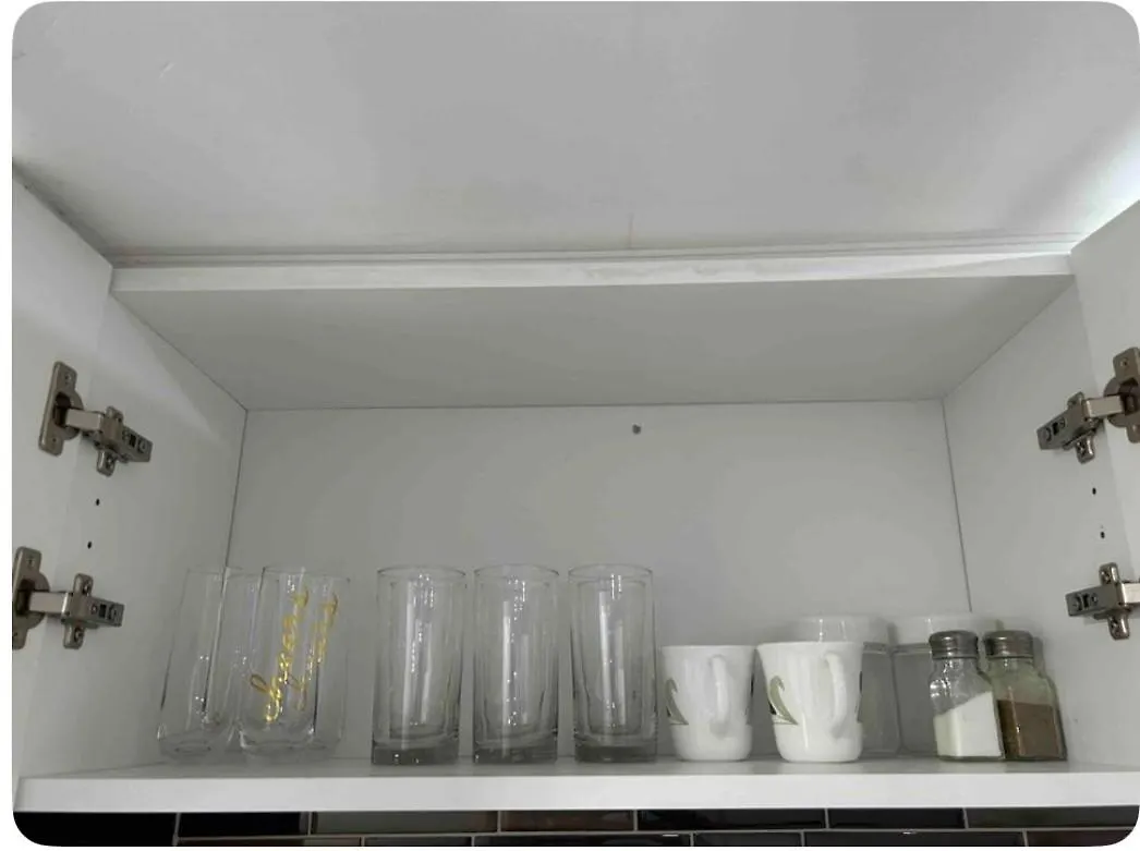 Green Path Apartment Toronto Homestay